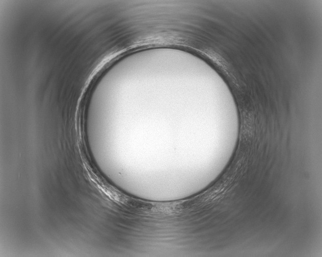 X0000052961078200508050942