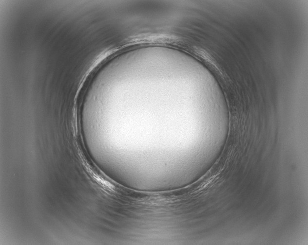 X0000052961079200508050942