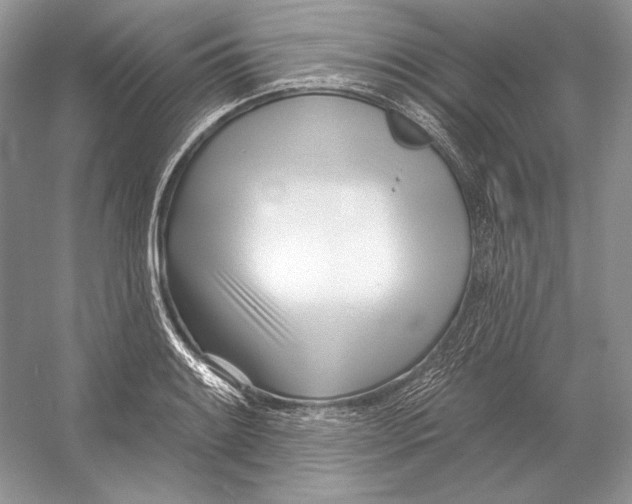 X0000052961084200508050942