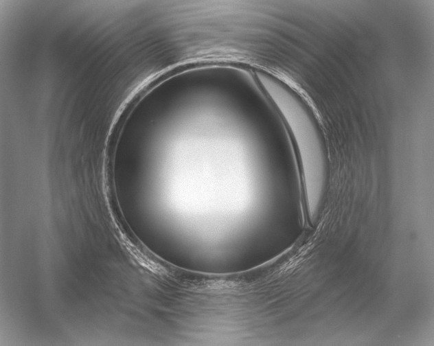 X0000052961085200508050942