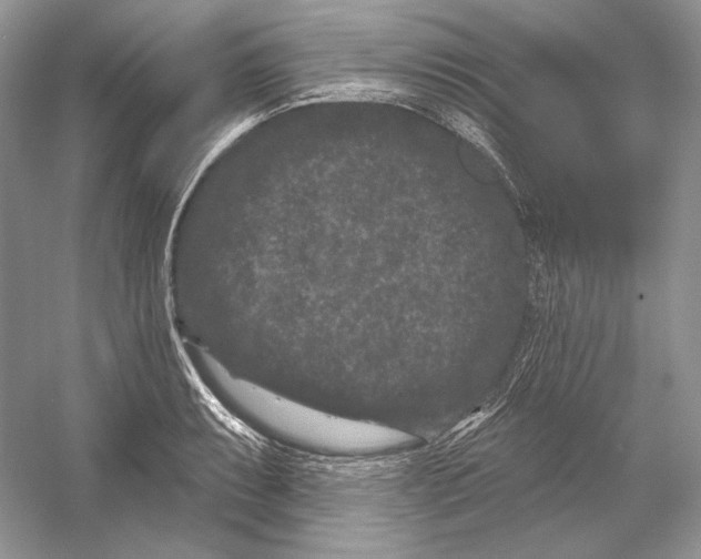 X0000052961087200508050942