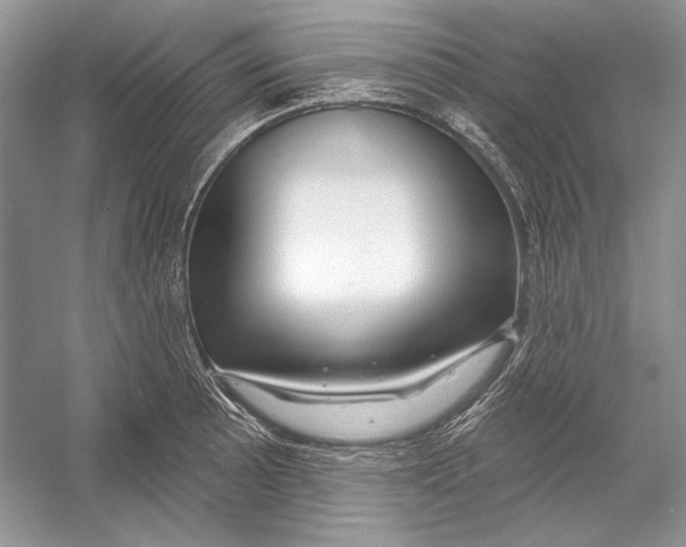 X0000052961089200508050942