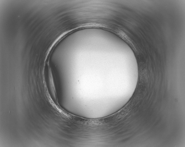X0000052961092200508050942