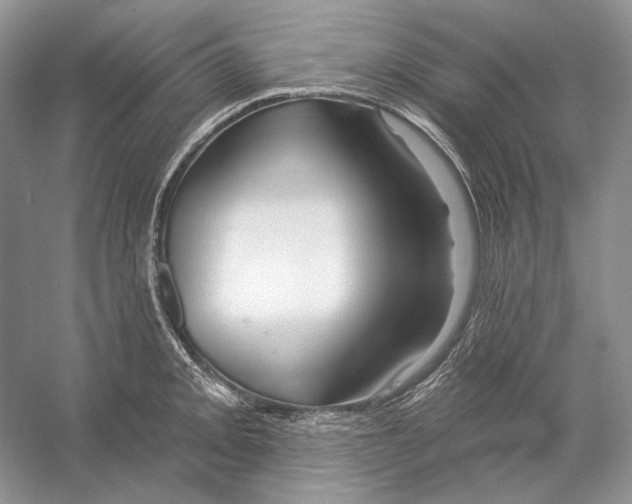 X0000052961093200508050942