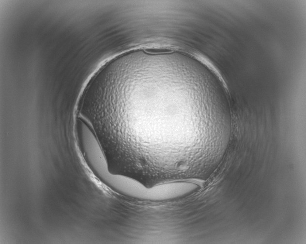 X0000052961099200508050942