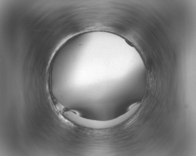 X0000052961102200508050942