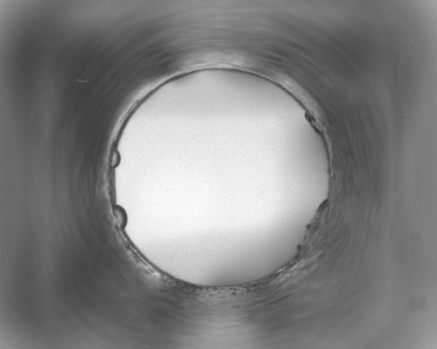 X0000052961104200508050942