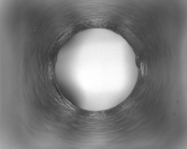 X0000052961107200508050941