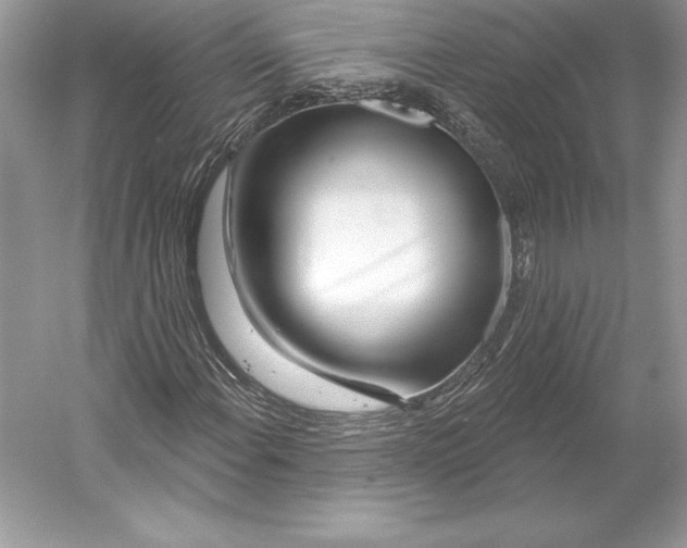 X0000052961108200508050941
