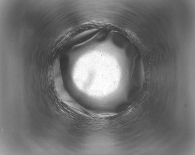 X0000052961110200508050941