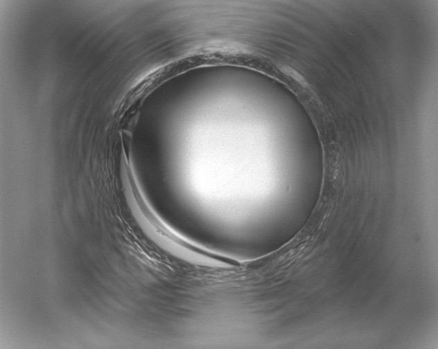 X0000052961112200508050941