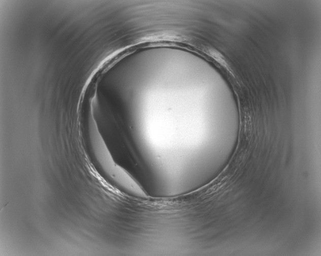 X0000052961116200508050941