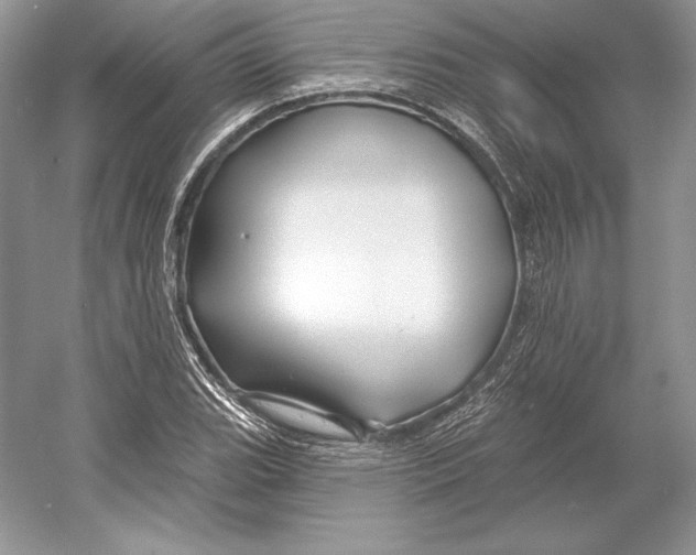 X0000052961119200508050941