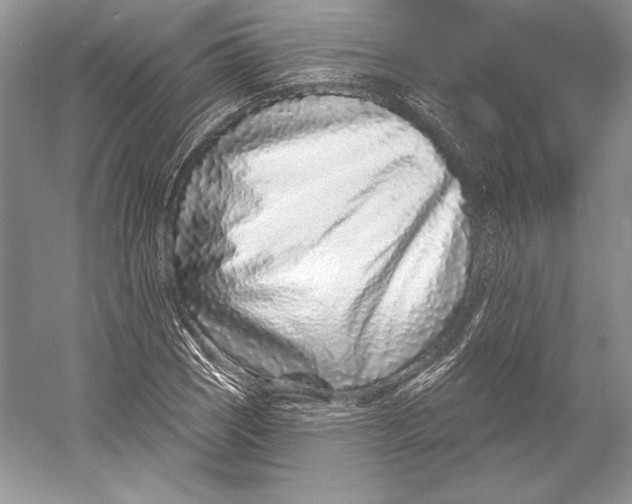 X0000052961121200508050941