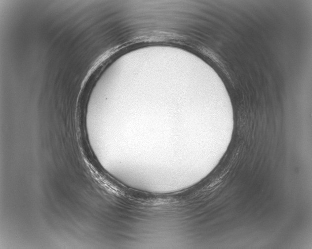 X0000052961122200508050941