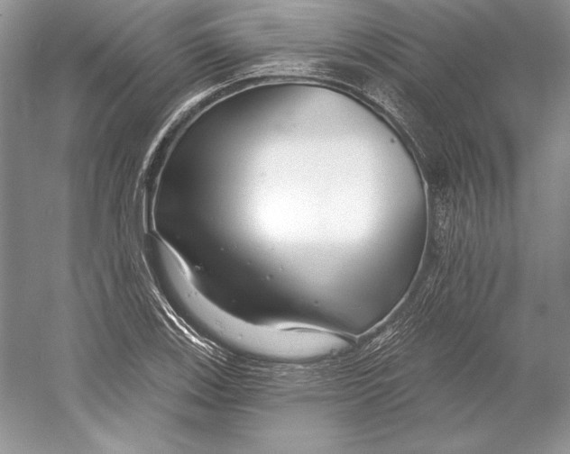 X0000052961123200508050941