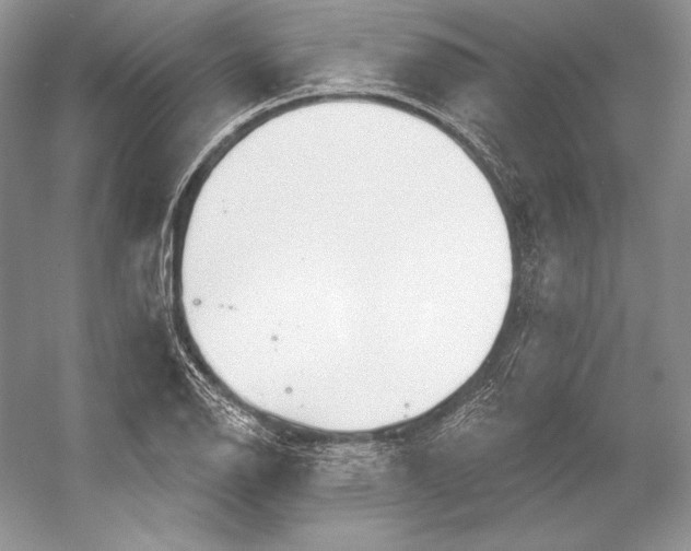 X0000052961126200508050941