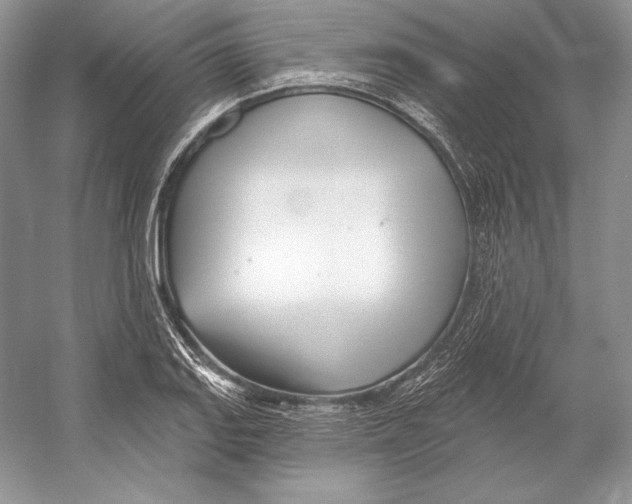 X0000052961127200508050941
