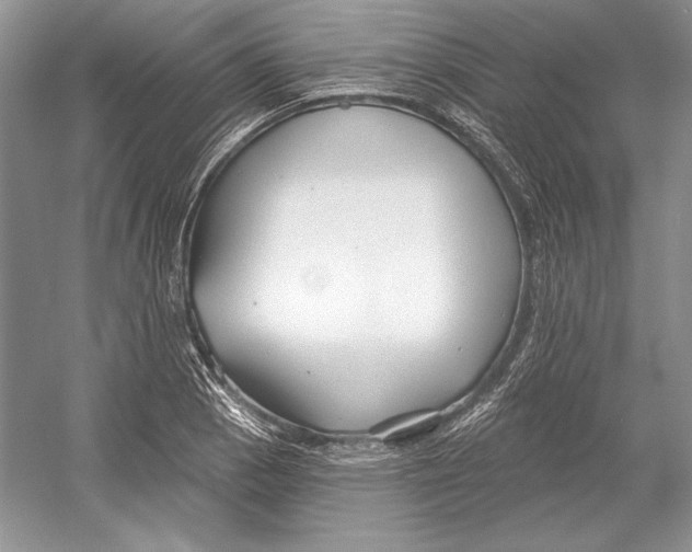 X0000052961129200508050941