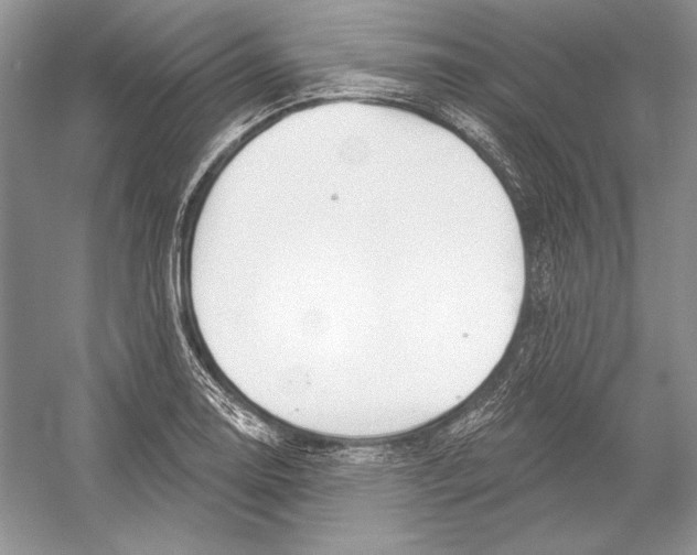 X0000052961130200508050941