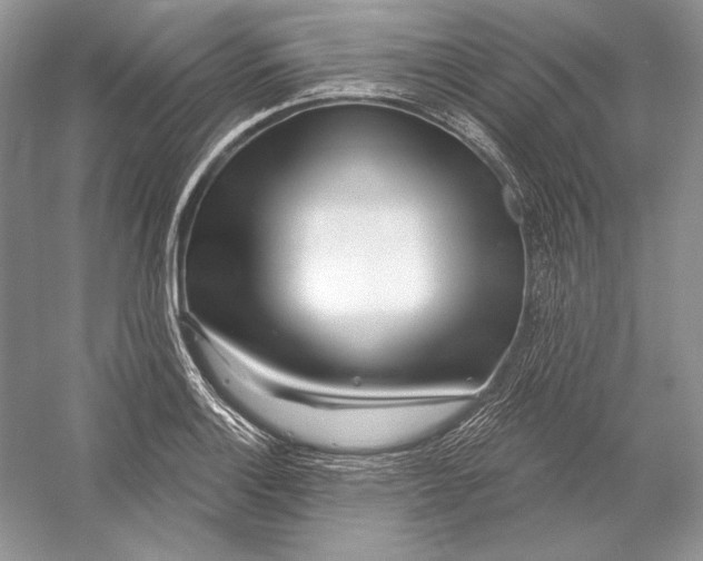 X0000052961132200508050941
