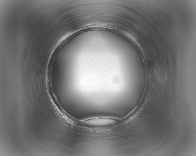 X0000052961133200508050941