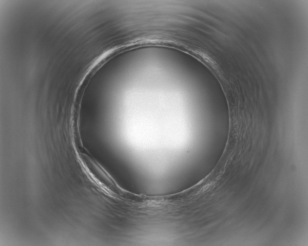 X0000052961134200508050941