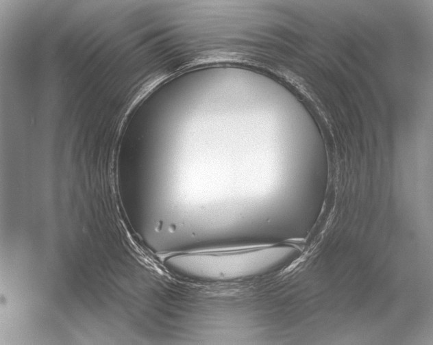 X0000052961137200508050941