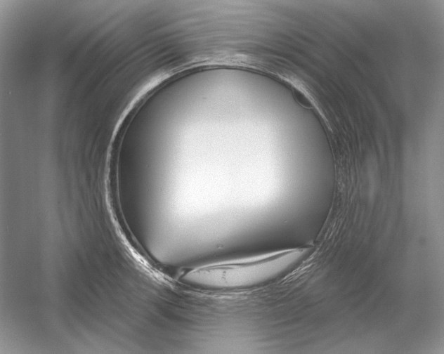 X0000052961139200508050941
