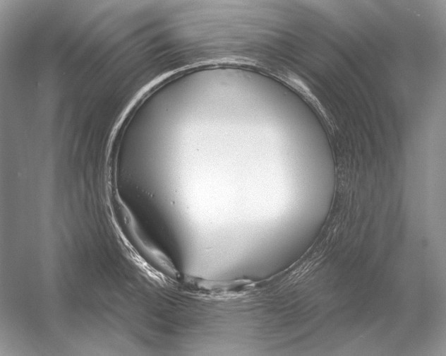 X0000052961140200508050941