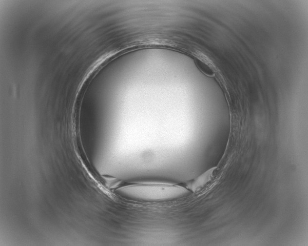 X0000052961141200508050941