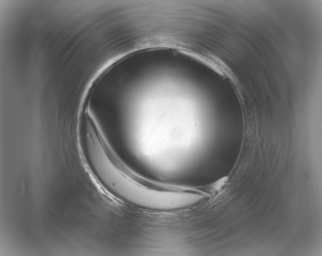 X0000052961144200508050941