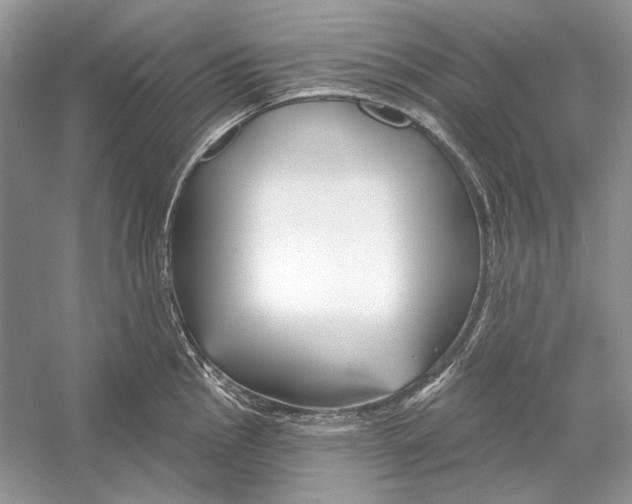 X0000052961145200508050941