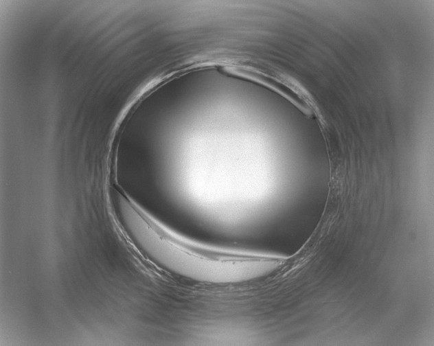 X0000052961146200508050941