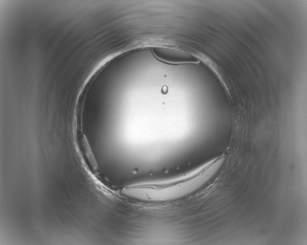 X0000052961147200508050941