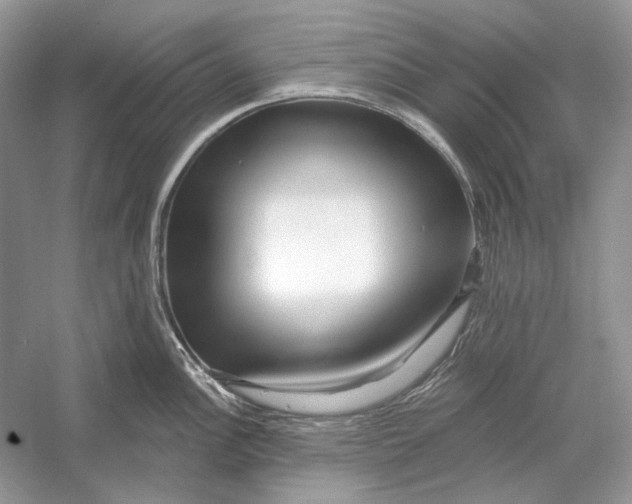 X0000052961148200508050941