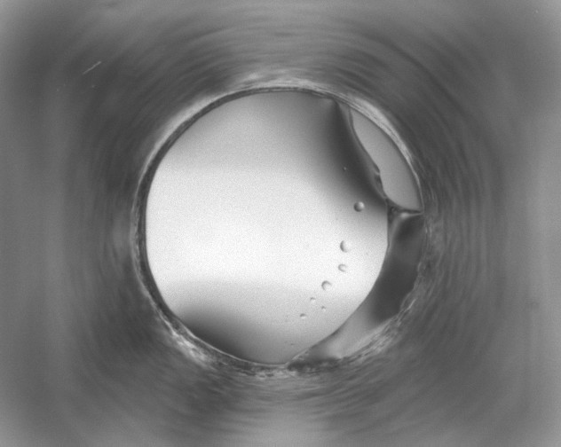 X0000052961149200508050942