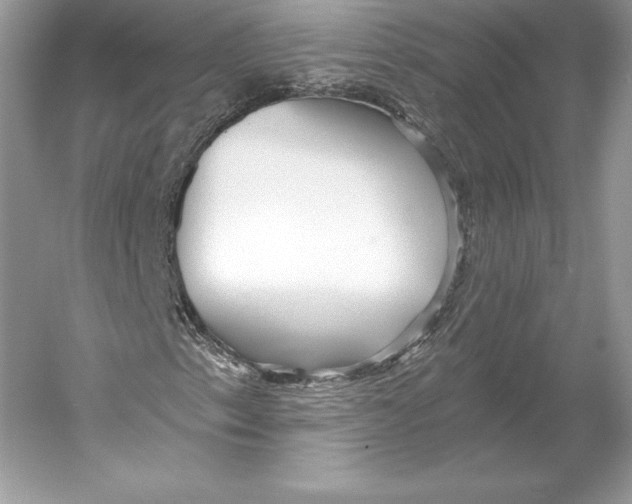 X0000052961153200508050941