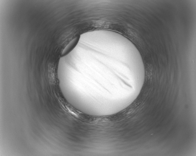 X0000052961154200508050941