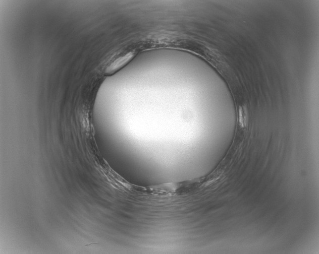 X0000052961155200508050941