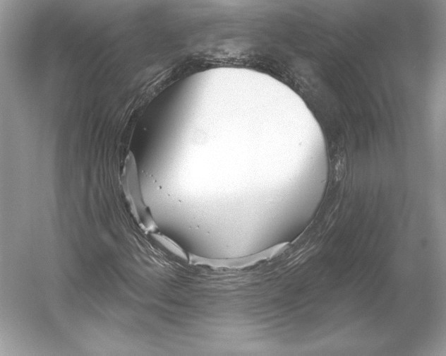 X0000052961156200508050941