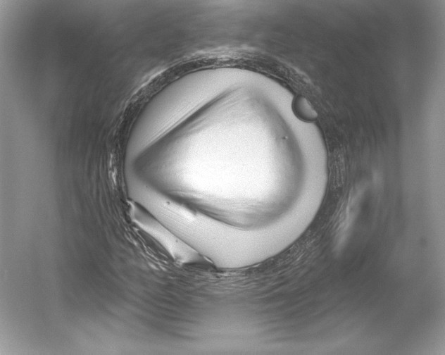 X0000052961158200508050941