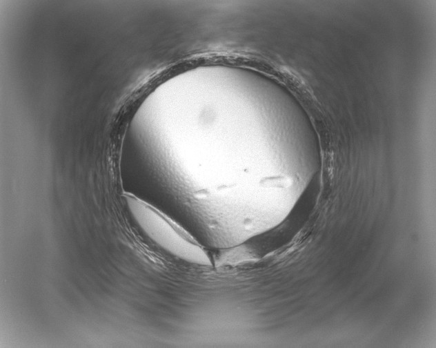X0000052961159200508050941