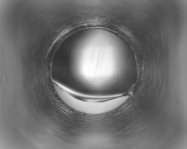 X0000052961160200508050941