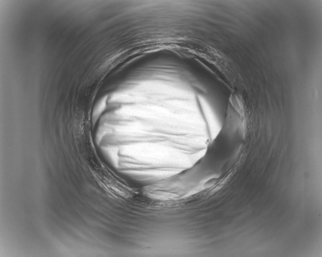 X0000052961161200508050941