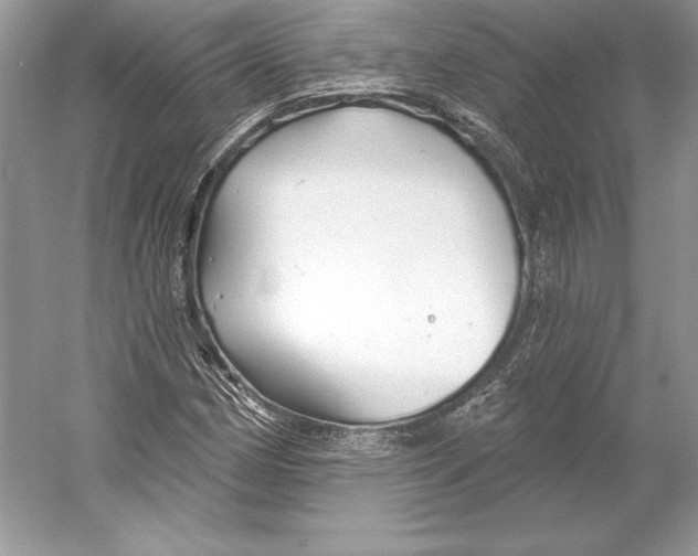 X0000052961162200508050941