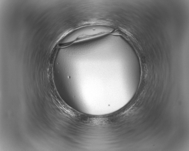 X0000052961163200508050941