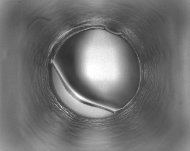 X0000052961164200508050941