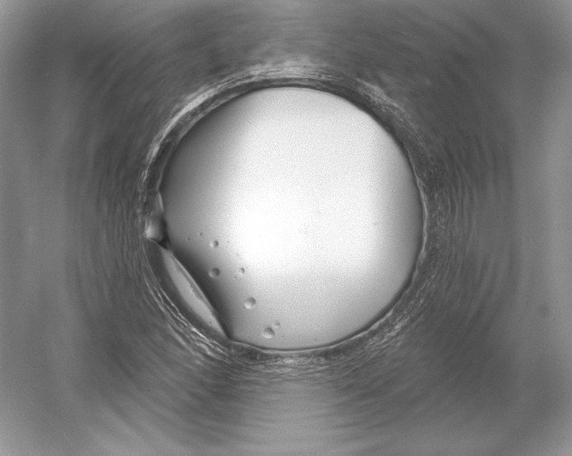 X0000052961166200508050941