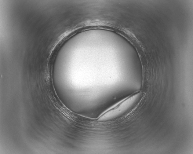 X0000052961167200508050941